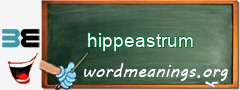 WordMeaning blackboard for hippeastrum